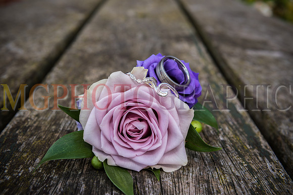 160_JOHANNA_TOM_W26082017