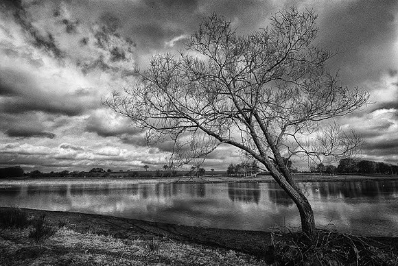 _GPC9284