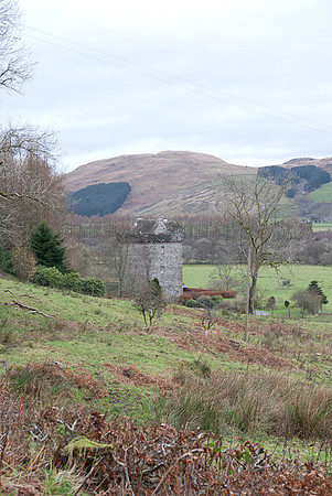DSC_1337