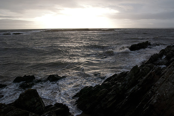 DSC_1437