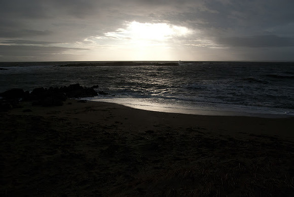 DSC_1442