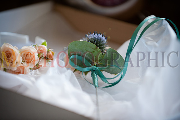 102__HANNAH_WILL_W19092015