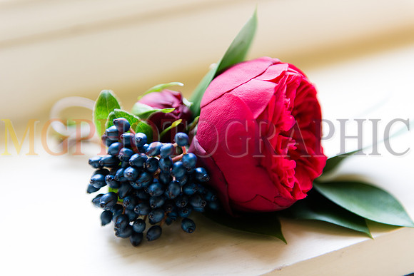 204__AMY_LUKE_W06112015