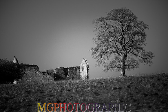 _DSC2056