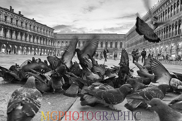 DSCF1951-1
