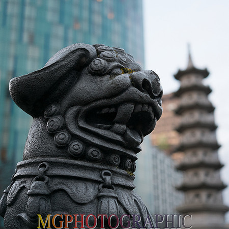 DSCF0095