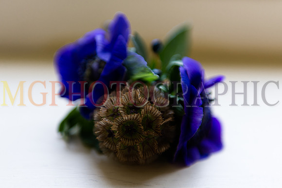 205__AMY_LUKE_W06112015