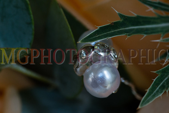 72__HANNAH_WILL_W19092015