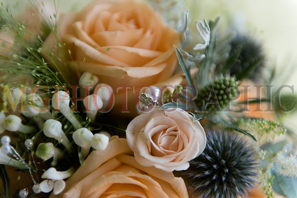 66__HANNAH_WILL_W19092015