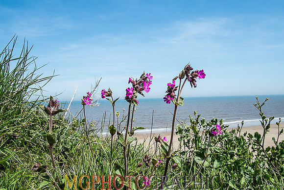 38_Happisburgh