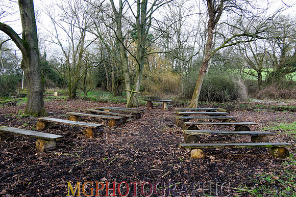18_Hothorpe Hall and Woodlands