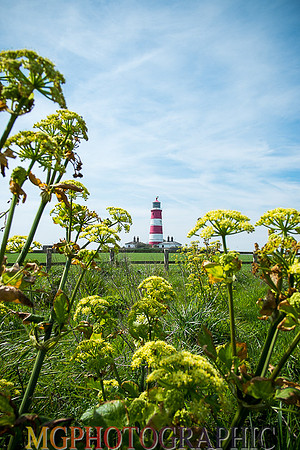 06_Happisburgh