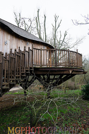 16_Hothorpe Hall and Woodlands