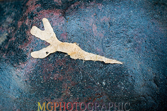 11_Happisburgh