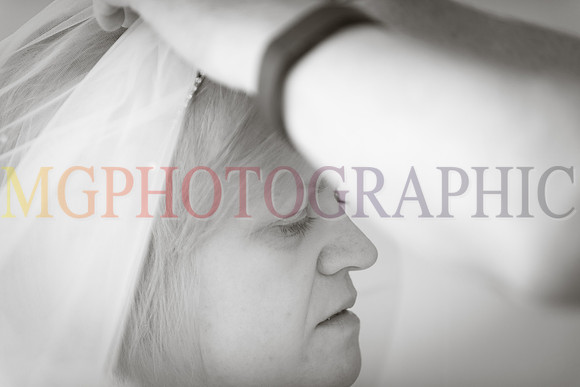 145__THERESA_MARK_W26072016