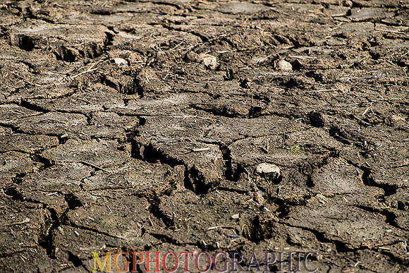 03_Blakeney
