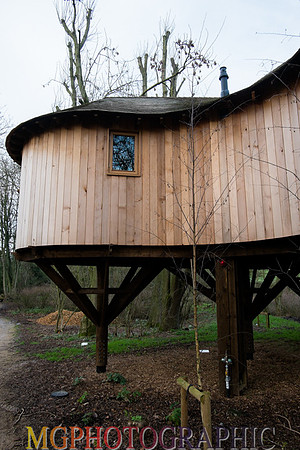 17_Hothorpe Hall and Woodlands
