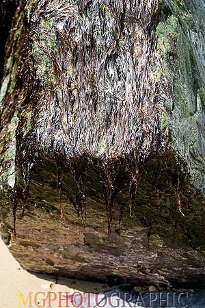 13_Happisburgh