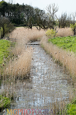 16_Blakeney