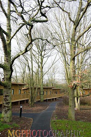 13_Hothorpe Hall and Woodlands