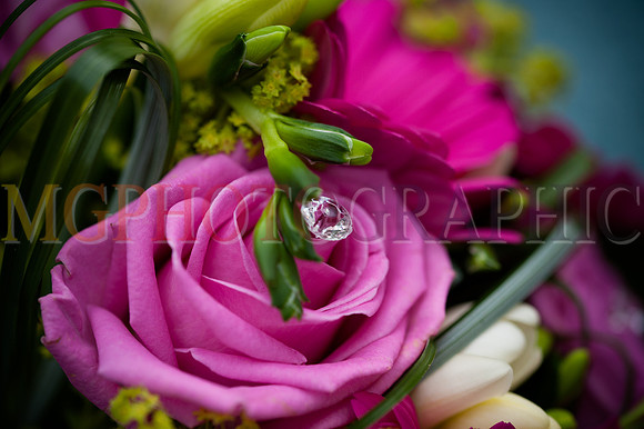 23_KELLY_PHIL_W12092014