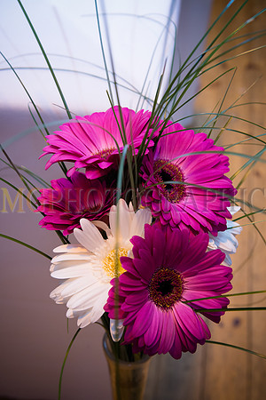 128_KELLY_PHIL_W12092014