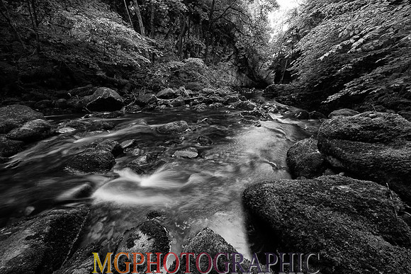 MJC_4661