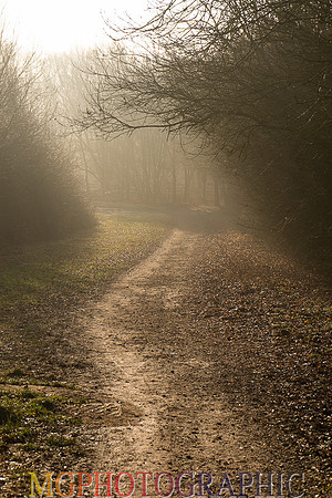 DSCF8318
