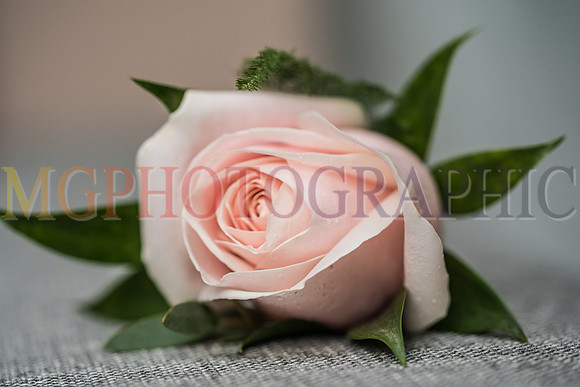 43_Anne_Justin_W13042018