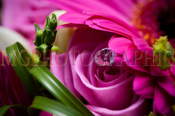 72_KELLY_PHIL_W12092014