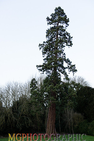 GC1_4750