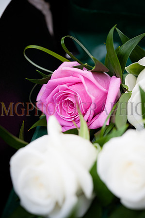 17_KELLY_PHIL_W12092014