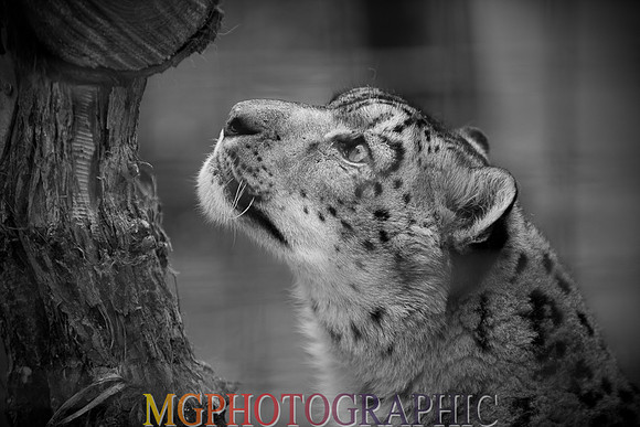 MC1_5072