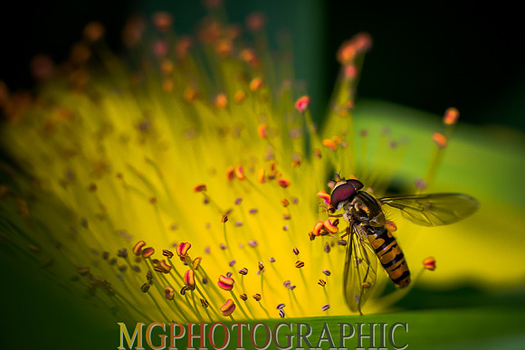 GAB_7490