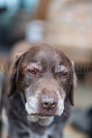10_JOHANNA_TOM_W26082017