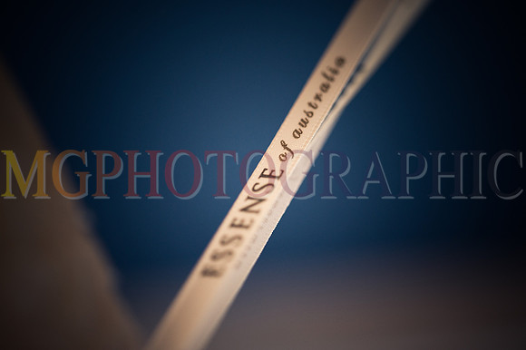 21_REBECCA_DANIEL_W09082014
