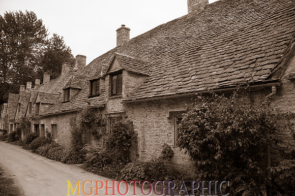 MJC_5623