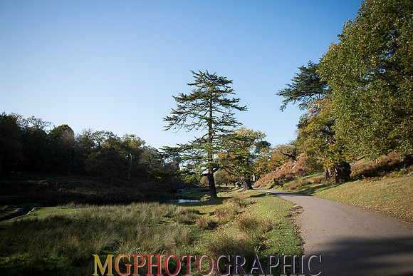 MC1_0444