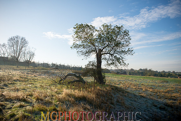MC1_0505